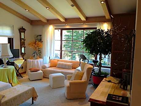 Superior Apartment with Sauna