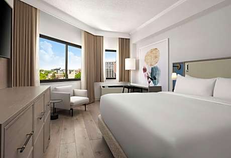One Bedroom Suite - King + Sofa Bed