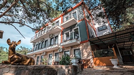 Camlik Deniz Yildizi Hotel