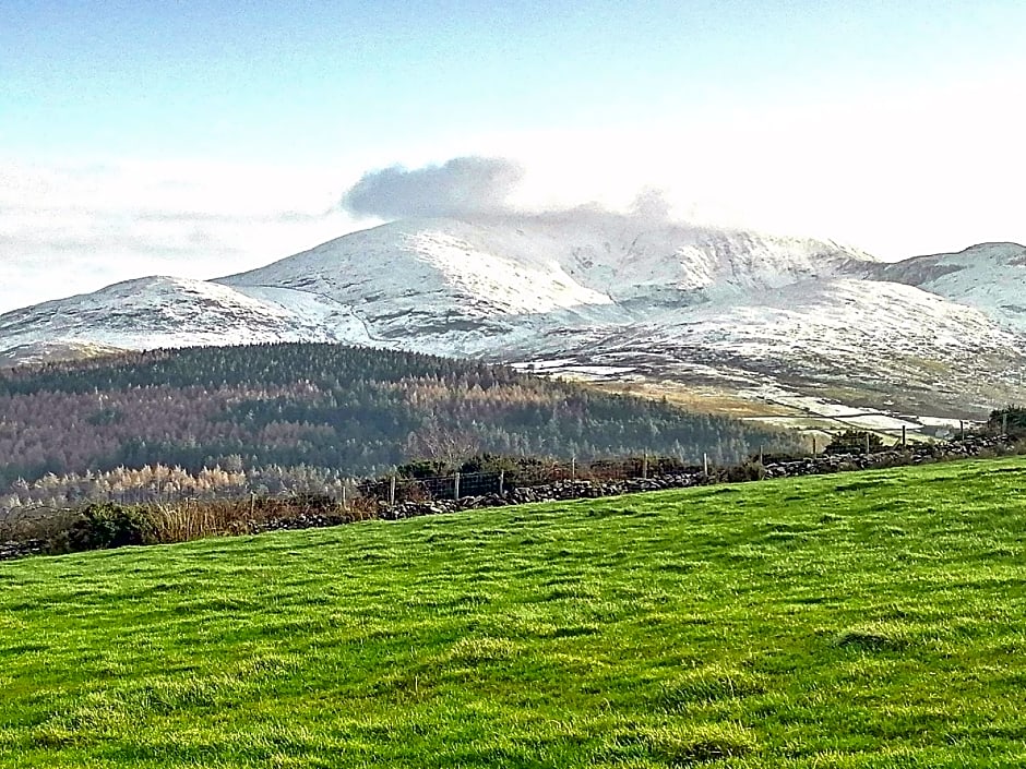 Tollymore Luxury log cabins
