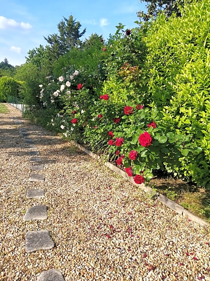 Le Grand Chemin de La Vie