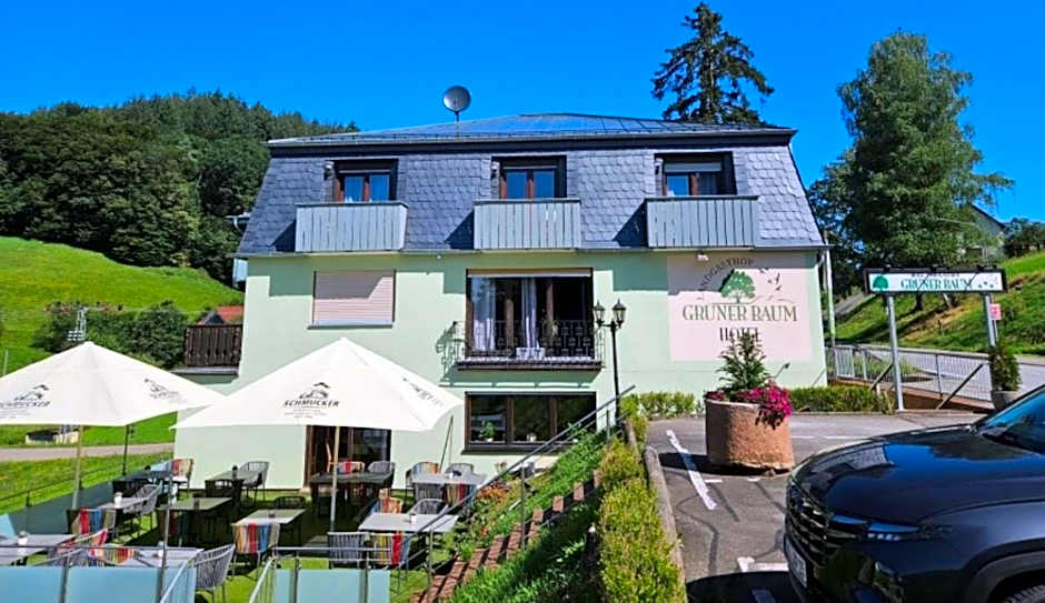 Hotel Grüner Baum mit Restaurant & Wellness