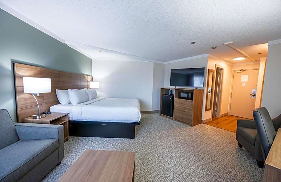 Photo 1 of 6 of Executive 1 King Bed