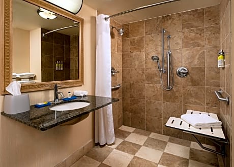2 Double Standard Mobility Accessible Roll Shower