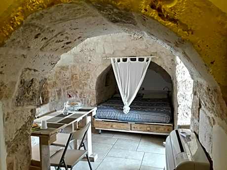 Superior Two-Bedroom Apartment with garden view