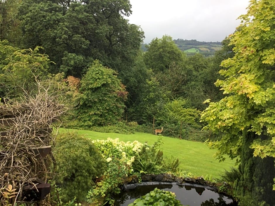 Dwynant - A Room with a View