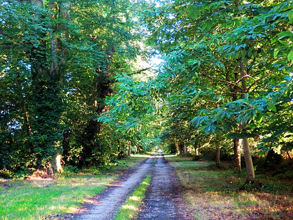 Hôtel des 4 continents - Le Mans