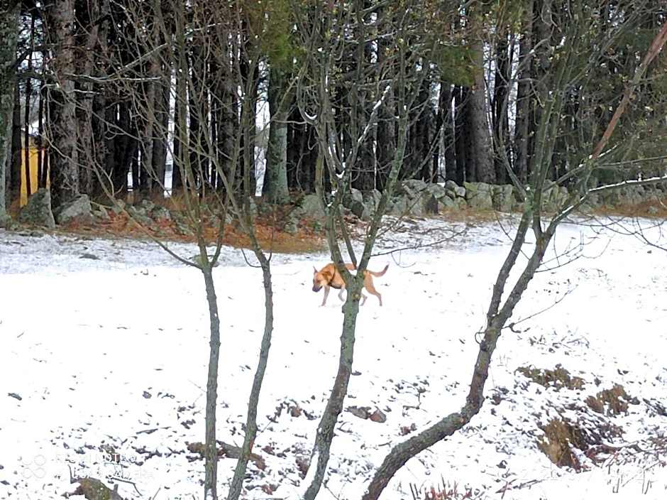 Casa de huéspedes B&B Villa de las Hortensias