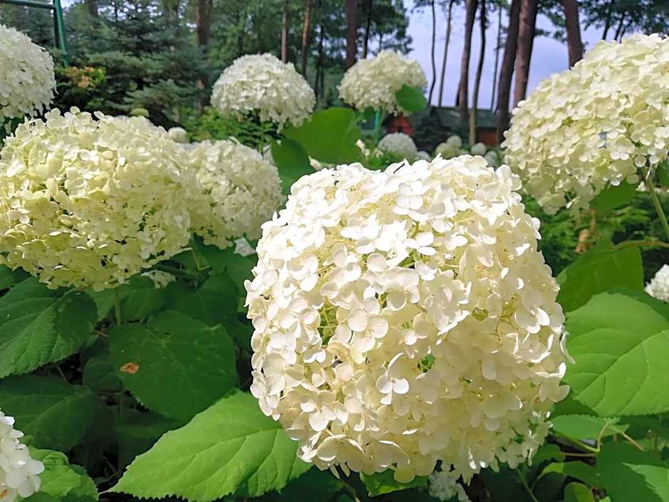 Oficerski Yacht Club