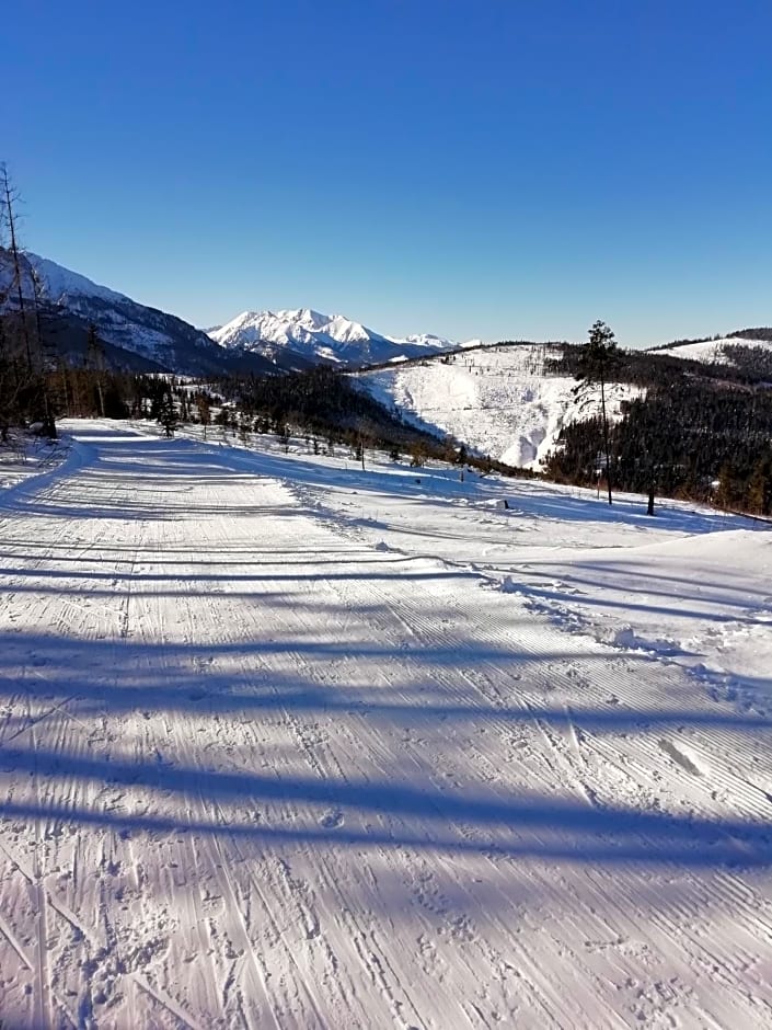 Chalúpka u Babičky