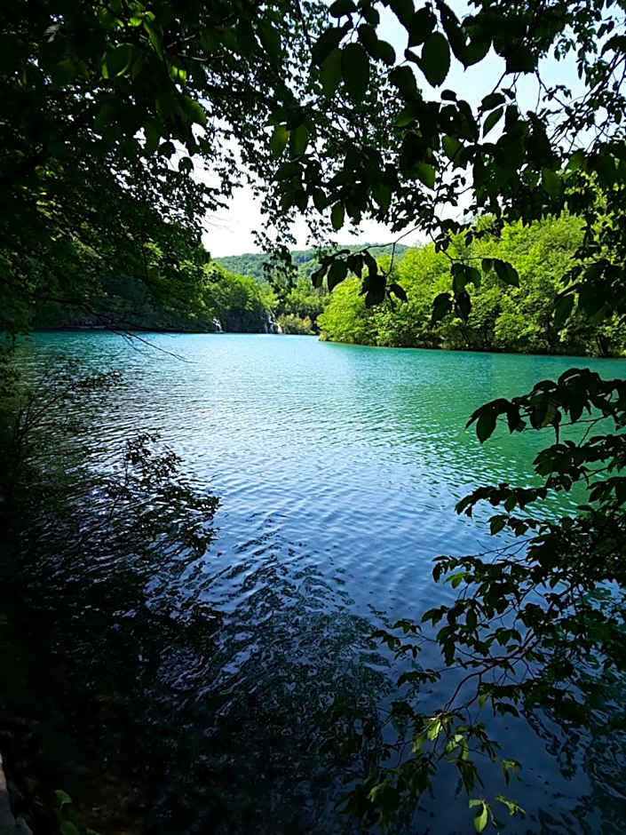 La Roche Hotel Appartments