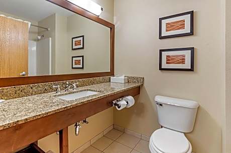 1 King Bed, Suite, Nonsmoking