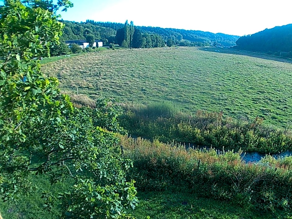 Cabane Perchée dans la prairie de l'ancien moulin