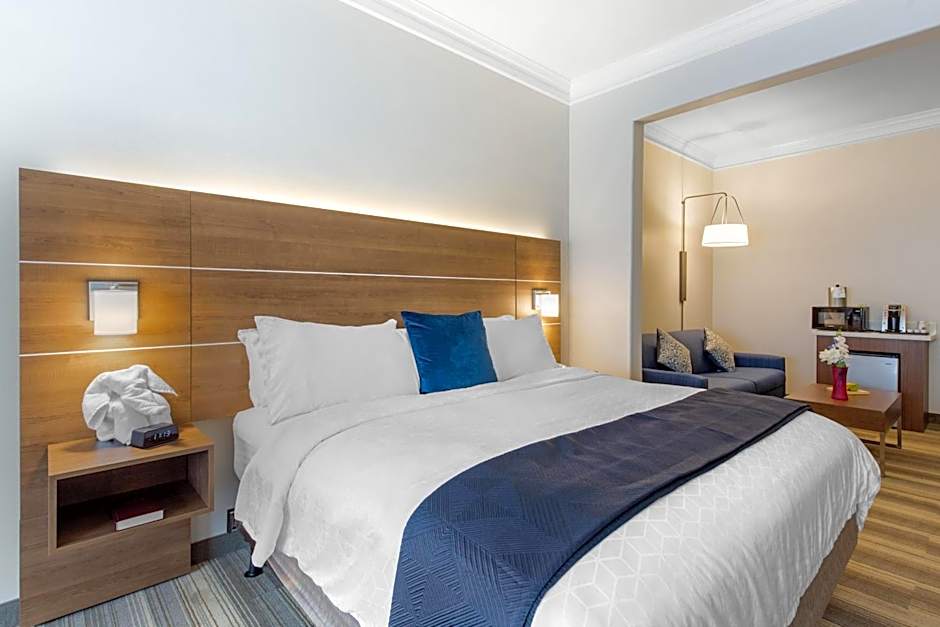 Holiday Inn Express Houston-Alvin By IHG