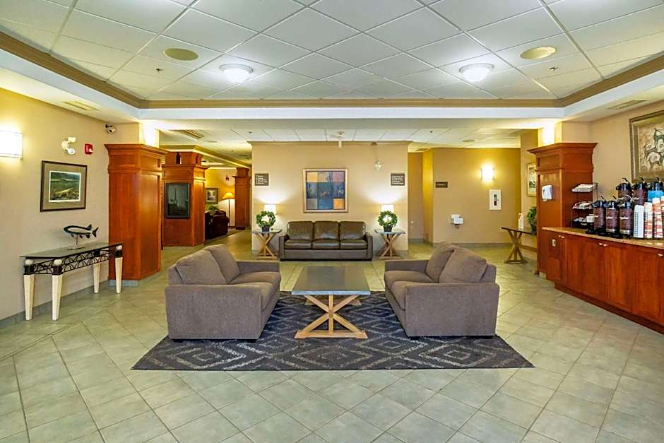 Comfort Inn & Suites
