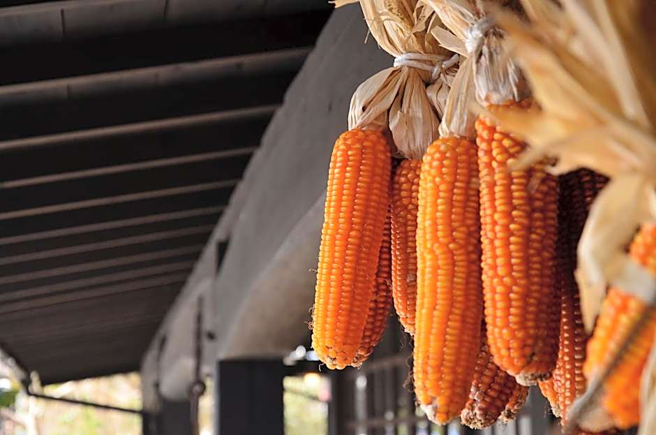 Kurokawa Onsen Oku no Yu