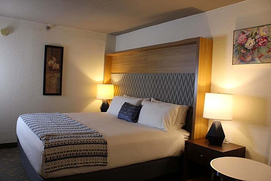 Wyndham Flint MI/Grand Blanc/Bishop Airport/Conference Ct