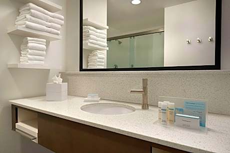 1 King Mobility Access Tub Studio Nosmok
