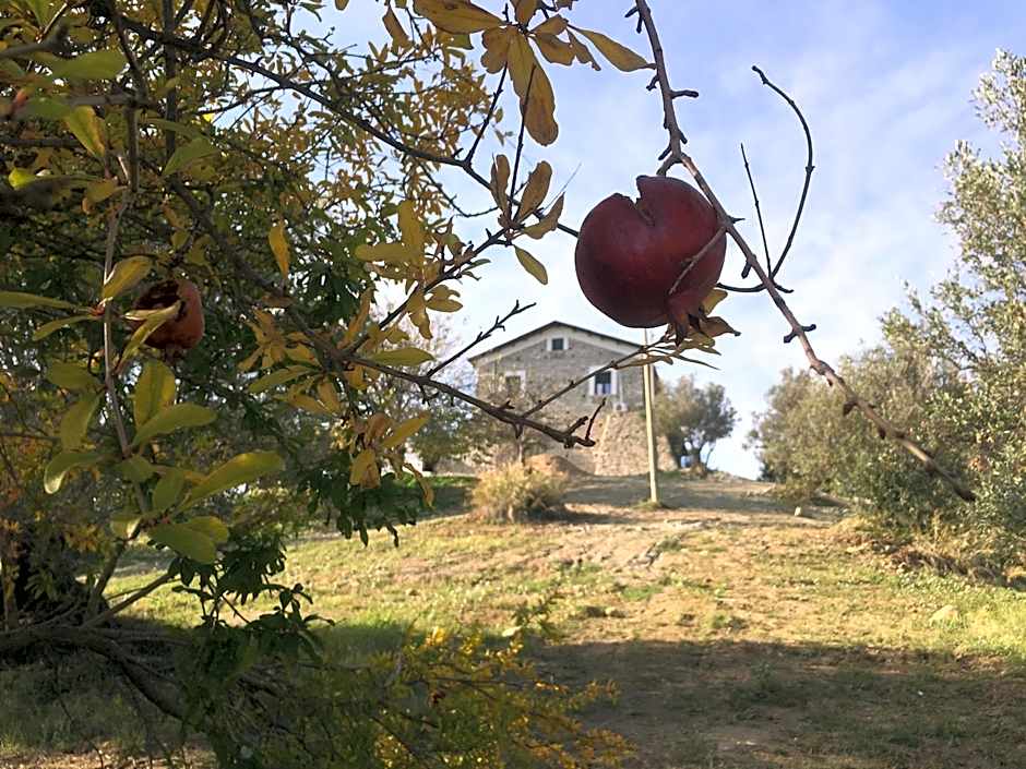 Don Giacchì Country House