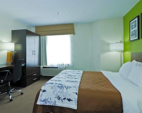 1 King Bed, Nonsmoking