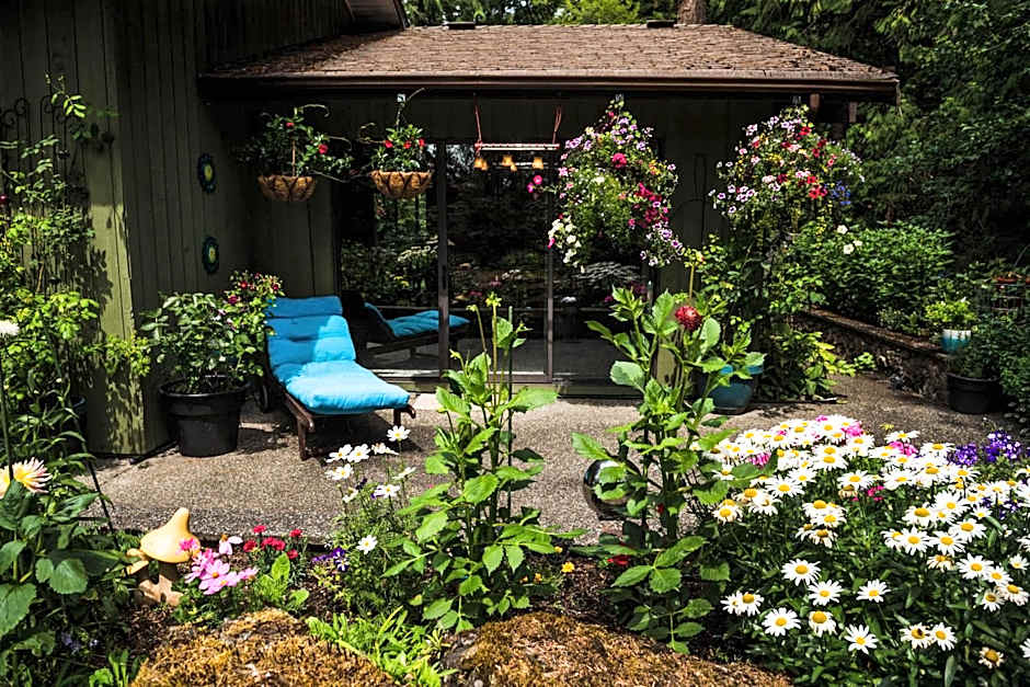 Misty Meadows B and B