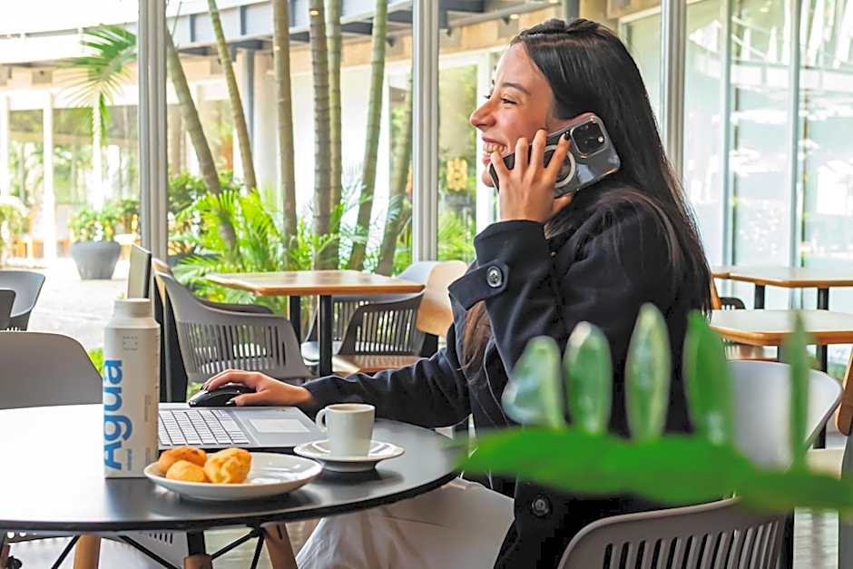 Ibis Santo Andre