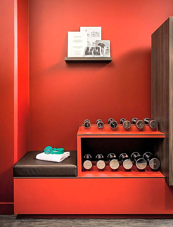 Okko Hotels Lyon Pont Lafayette