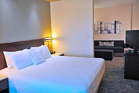 Studio, 1 King Bed with Sofa bed (1 King Bed and 1 Double Sofa Bed)