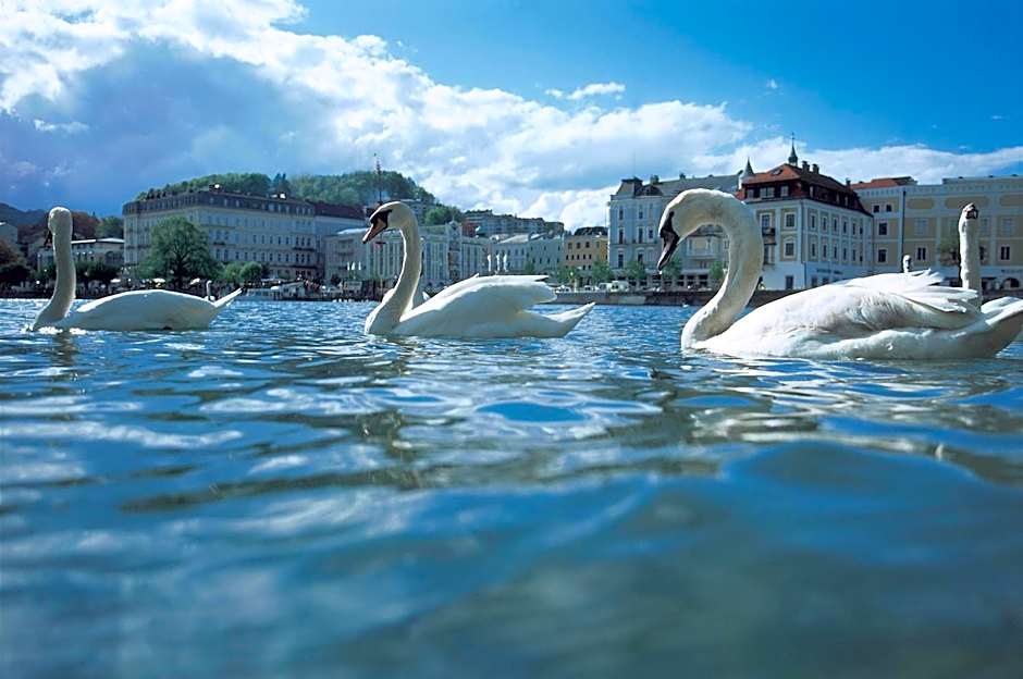 Landhotel Grünberg am See