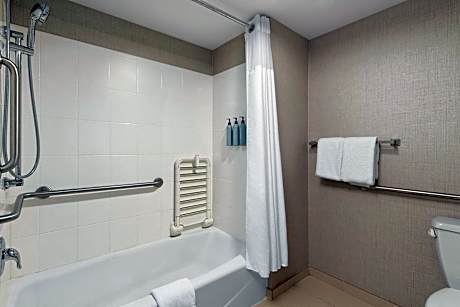 Suite, 1 Bedroom (1 King Bed and 1 Double Sofa Bed)