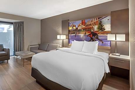 Queen Room with Sofa Bed and Mobility Accessible Roll-In Shower