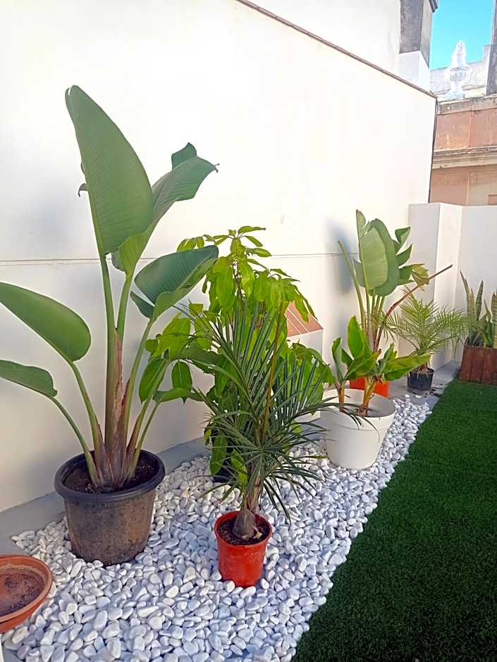 Planeta Cadiz Hostel