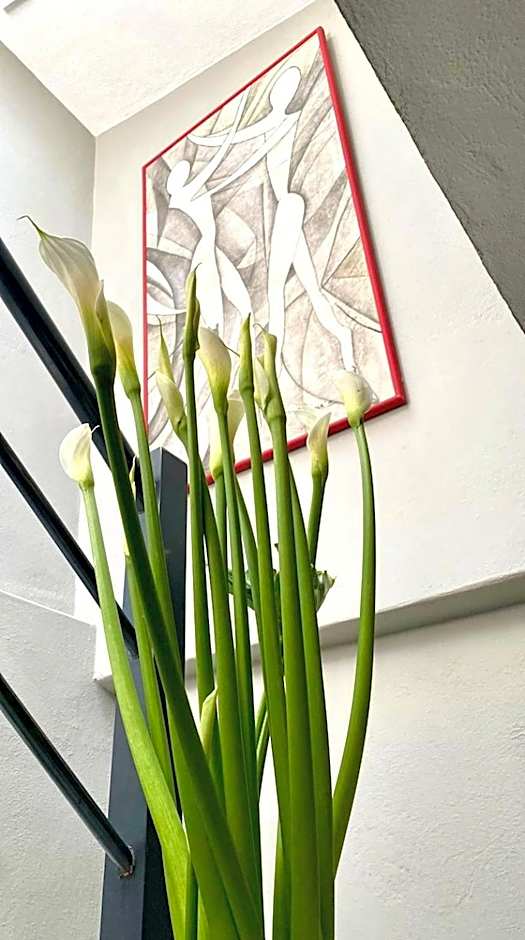 Arawi Hotel Boutique