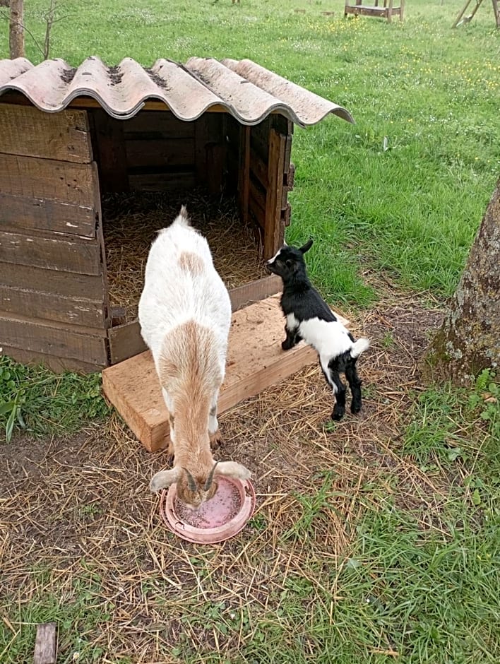 Le Petit Moulin Tournesol BnB
