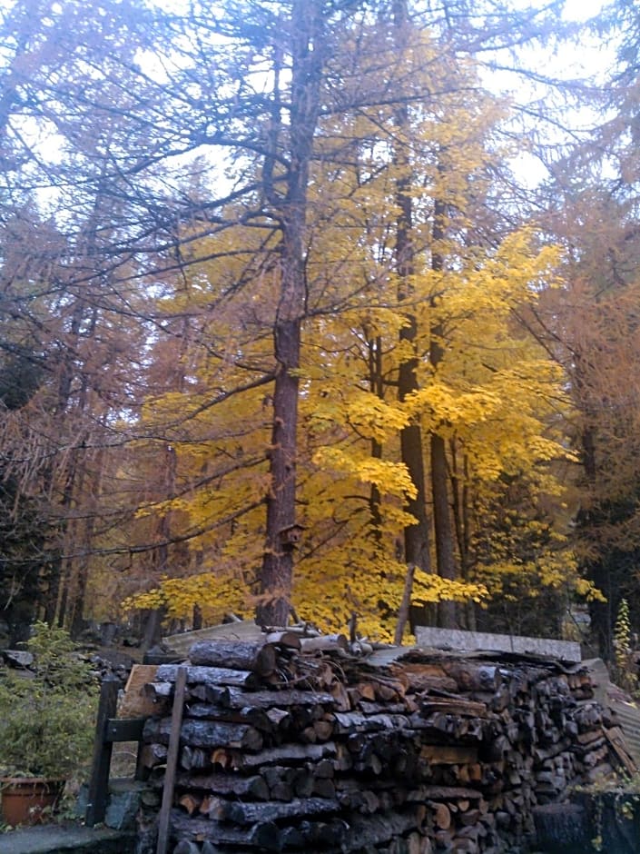 Le Temps d'une Pause