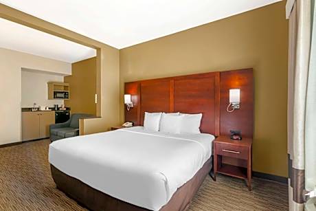 King Suite - Accessible/Non-Smoking