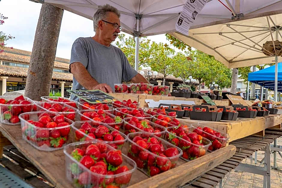 La Maison DUFFOUR chambres d'hôtes avec Petit Déjeuner