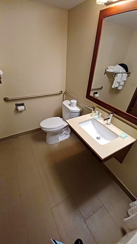 Wingate by Wyndham New Stanton