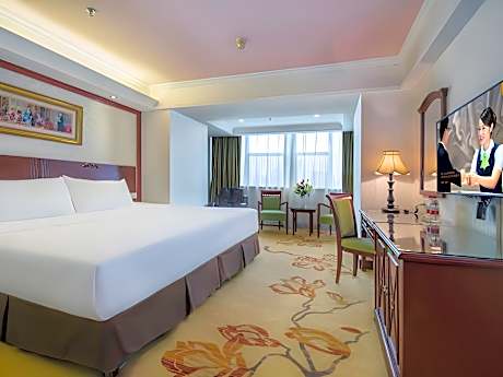 Vienna - Deluxe Sleeping Bed Room