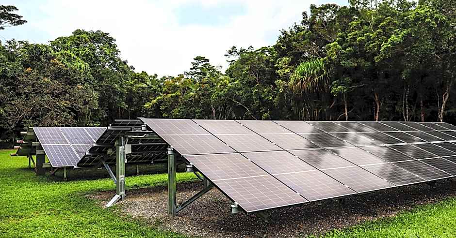 Daintree Wilderness Lodge