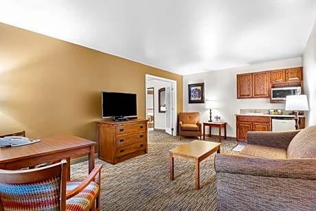 Suite-1 King Bed NSMK Sofabed Jetted Tub Work Desk Microwave Fridge Wi-Fi Full Breakfast
