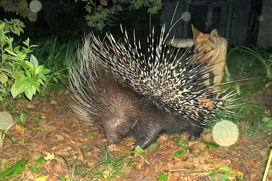 Edenbrook Country Manor