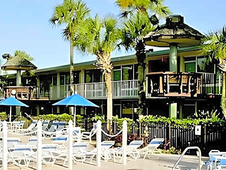 Magic Tree Resort