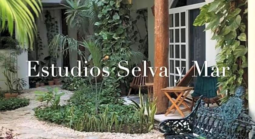 Estudios Selva y Mar by BFH