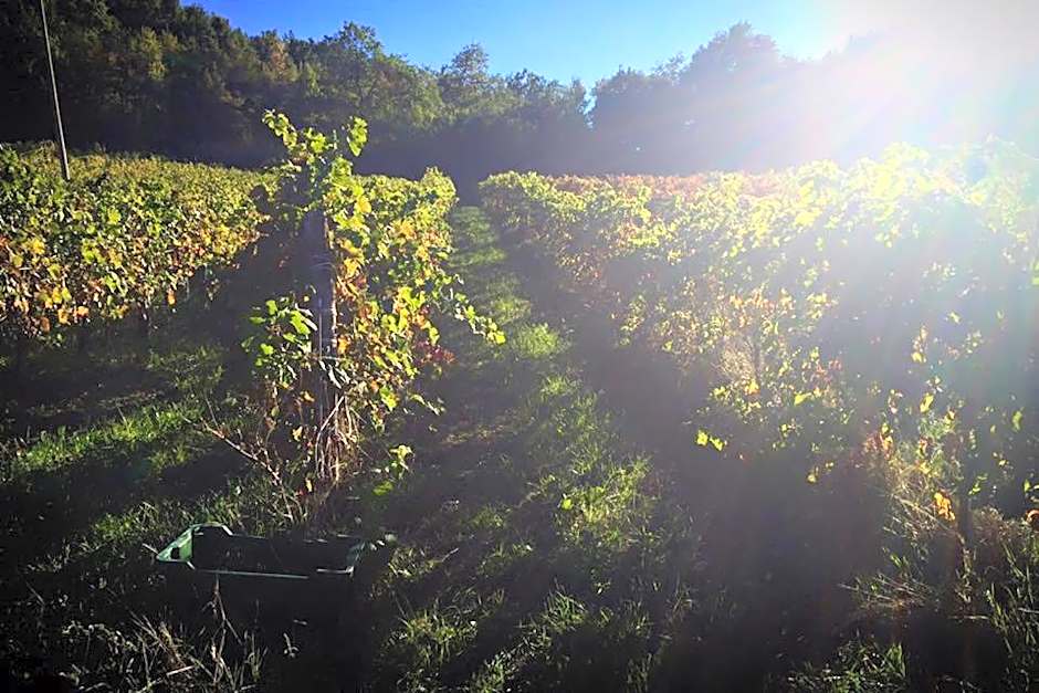 Agriturismo Monastero Di San Biagio