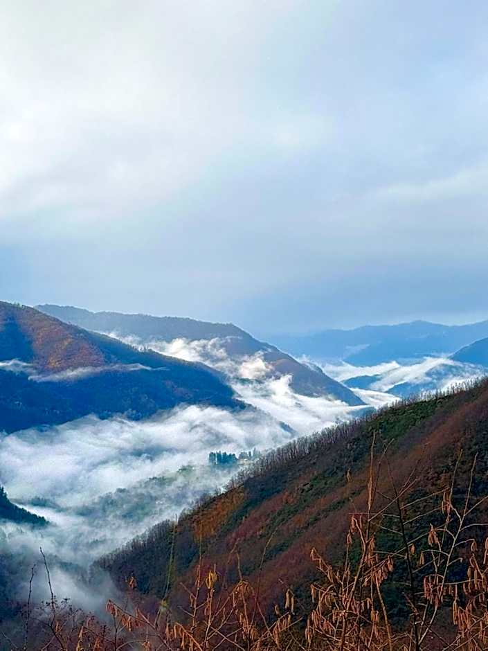 Viandanti, Artisti e Sognatori