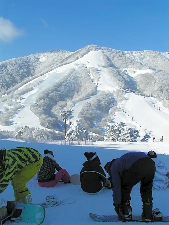 Madarao Elm Pension