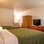 Quality Inn At Arlington Highlands