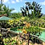 Mission Beach Escape BnB