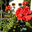 Hotel Gasthof WASTL